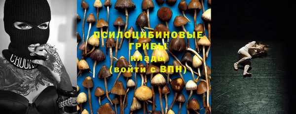 ECSTASY Волоколамск