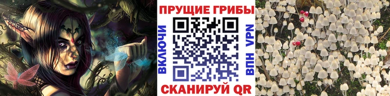 mega вход  Саров  Галлюциногенные грибы MAGIC MUSHROOMS 