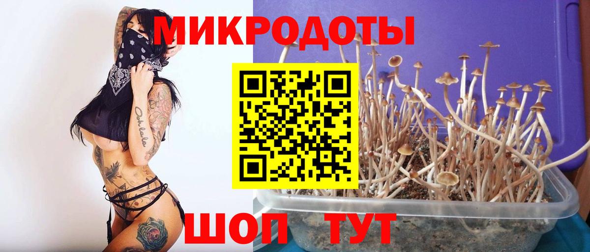 Псилоцибиновые грибы прущие грибы Саров