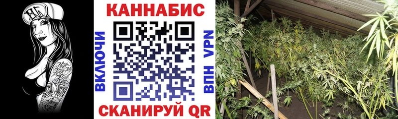 где можно купить   Саров  Шишки марихуана VHQ 